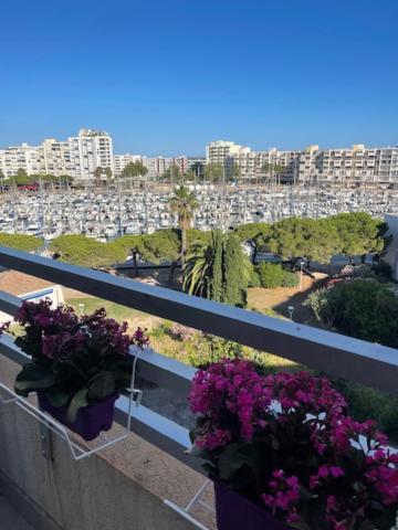 Studio Cabine Vue Mer Et Port 카르농 플라주 외부 사진