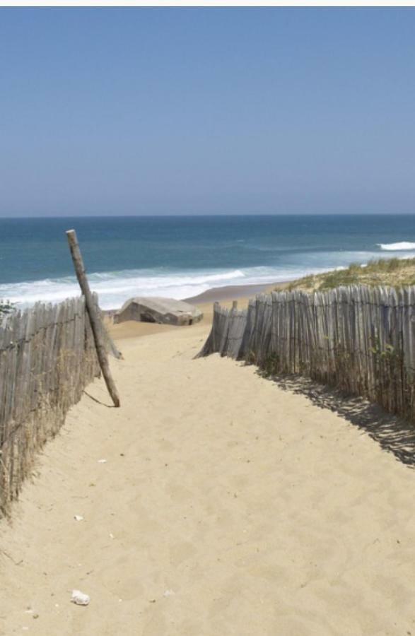 Studio Cabine Vue Mer Et Port 카르농 플라주 외부 사진